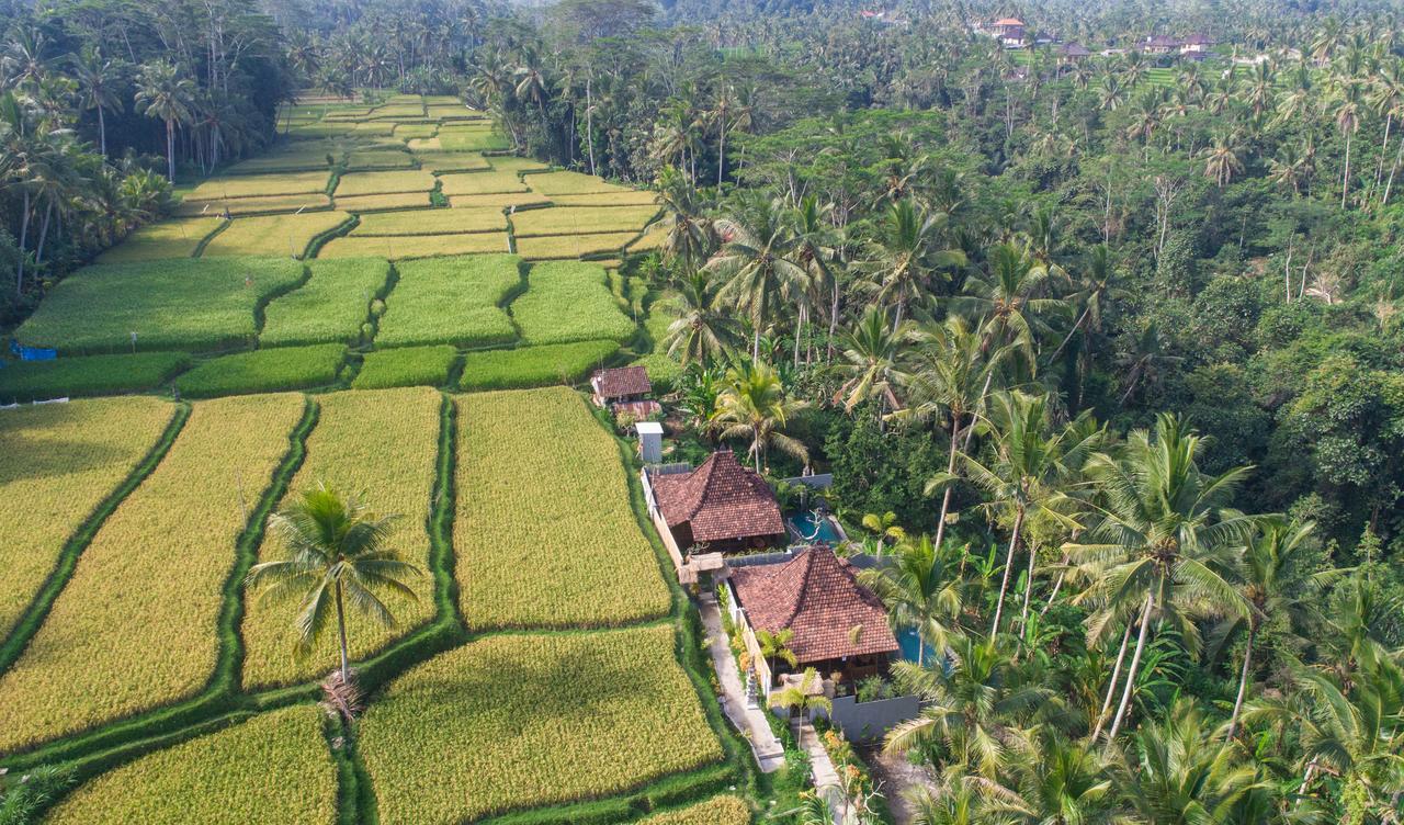 Mandana Ubud Villa Exteriér fotografie